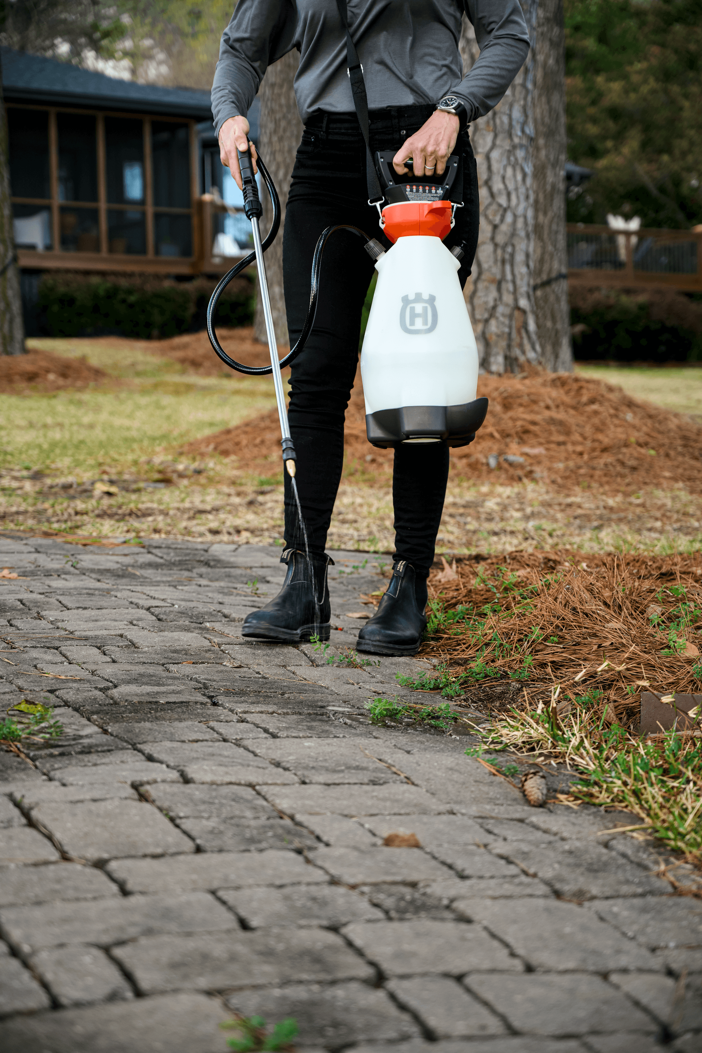 8L Battery Handheld Sprayer image 3